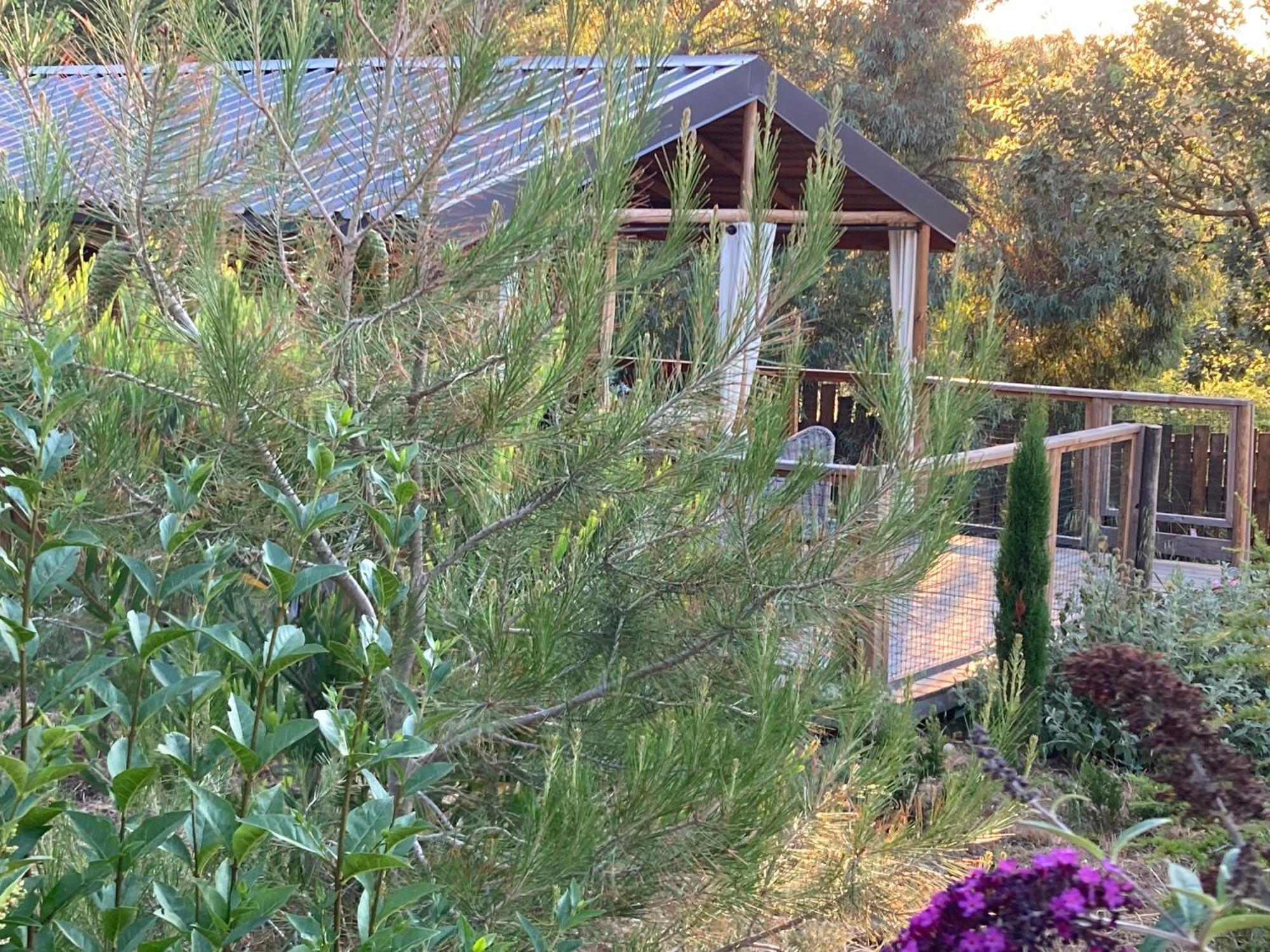 Cabanes Tresors De Campagne,Spas Privatifs Villarzel-du-Razes Zewnętrze zdjęcie